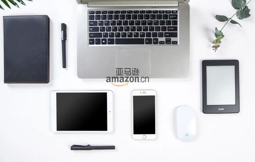 亚马逊卖家必备 玩具产品所需检测认证指南